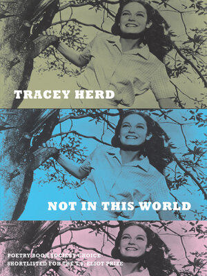cover image of Not in This World